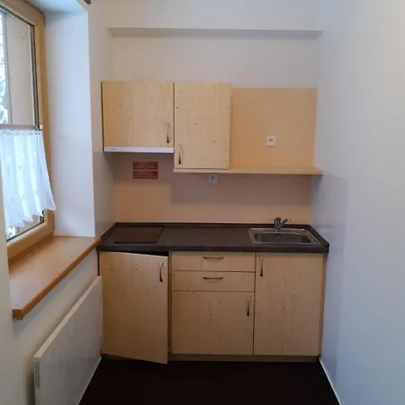 Utulny S Terasou Na Sumave V Malebne Vesnicce * 프라실리